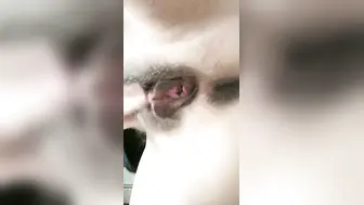【艺校猫系女友】阳光洒在嫩穴上，大学生的寂寞暑假生活，粉穴中尿液喷射，自慰淫水，菊花特写看个够