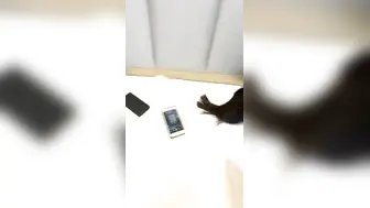 【极品嘻嘻】苏州00后小夫妻，居家黄播赚钱，人气爆棚，画质吊打全场，白嫩圆润屁股射满精液，精彩诱惑